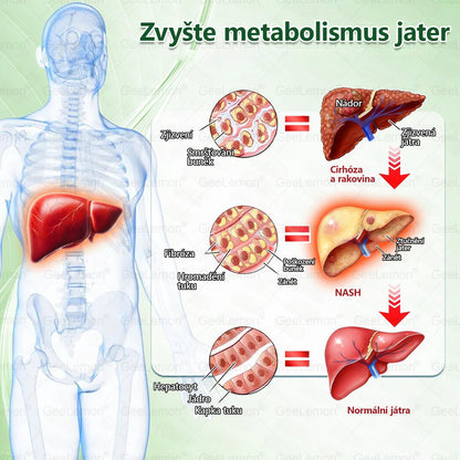 Oficiální český obchod | 👩‍⚕️ 𝐆𝐞𝐞𝐋𝐞𝐦𝐨𝐧® 8v1 Nanomikrojehlicové náplasti na formování těla 🇨🇿 Pouze 1 použití denně ✅ Výsledky viditelné již za 7 dní – vhodné pro obezitu, kardiovaskulární zdraví, cukrovku a problémy s klouby.
